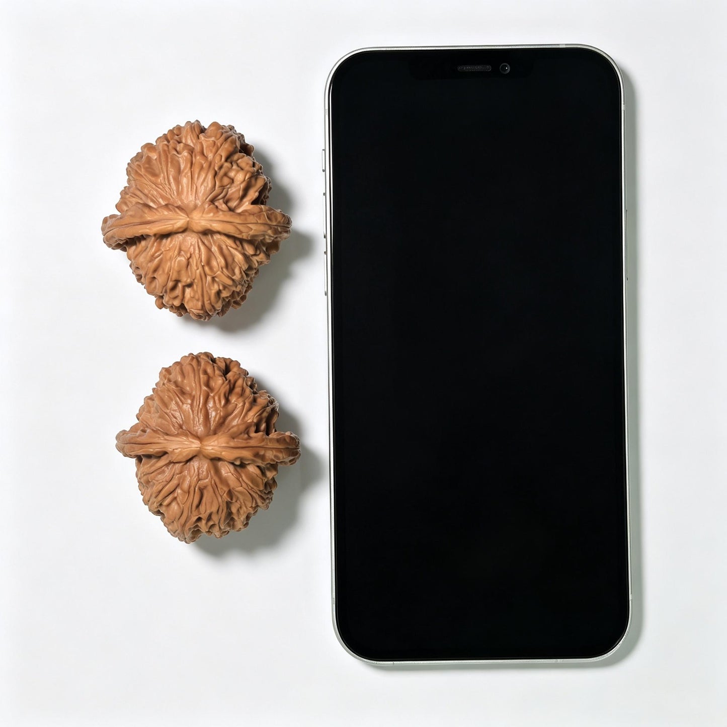 "Spherical White Lion" Qiu Xing Baishizi QXBSJ-1501C Low-Profile Wenwan Walnuts Pair | 44.0mm x 45.0mm | QXBSJ-1501C