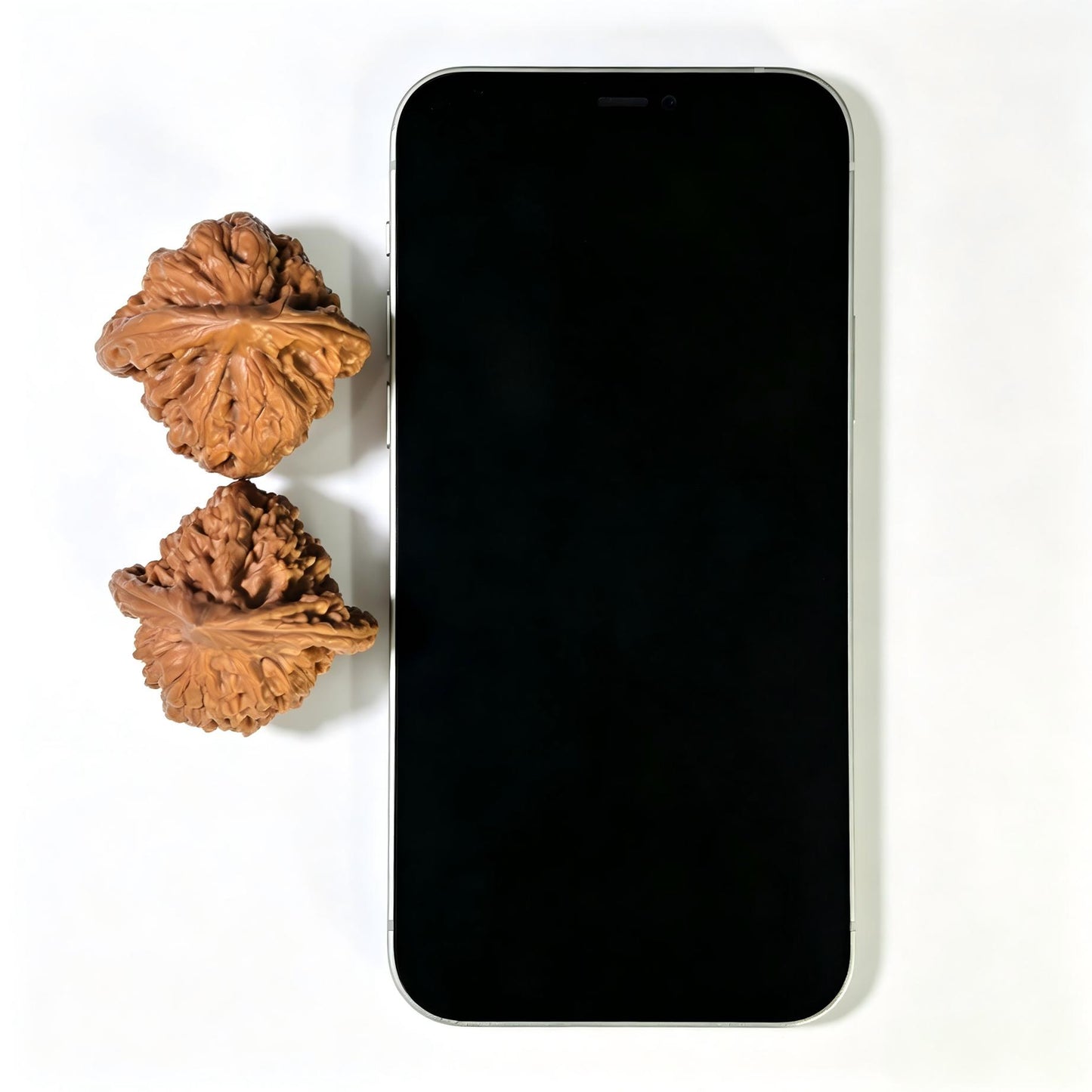 "Golden Noble" Jin Gongzi JGZ-1601 Low-Profile Wenwan Walnuts Pair | 40.0mm x 39.0mm | JGZ-1601