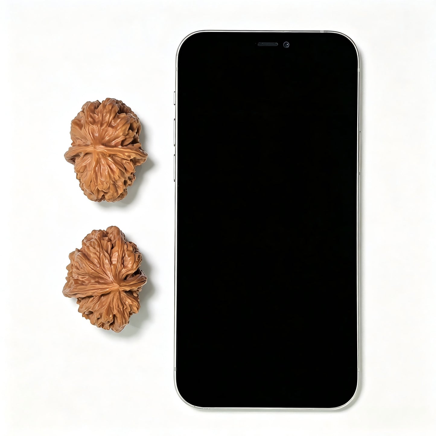 "Pinggu Square" Pinggu Fangkuai PGFK-1501C Low-Profile Wenwan Walnuts Pair | 31.0mm x 40.0mm | PGFK-1501C