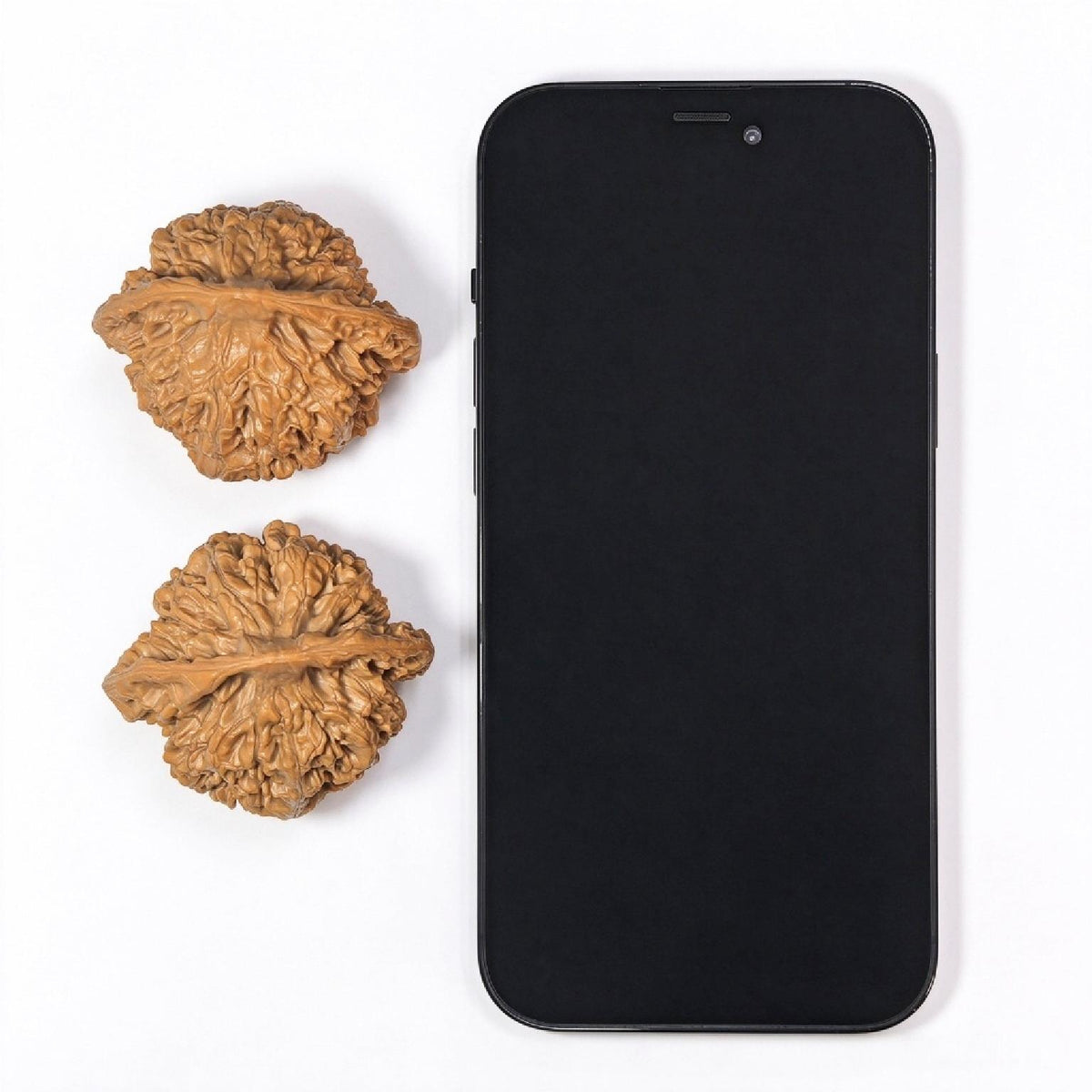 Imperial Qilin-Pattern Concave-Base Longevity Peach Wenwan Walnut Pair — 49.0mm x 45.0mm | QLWD-C1D3E