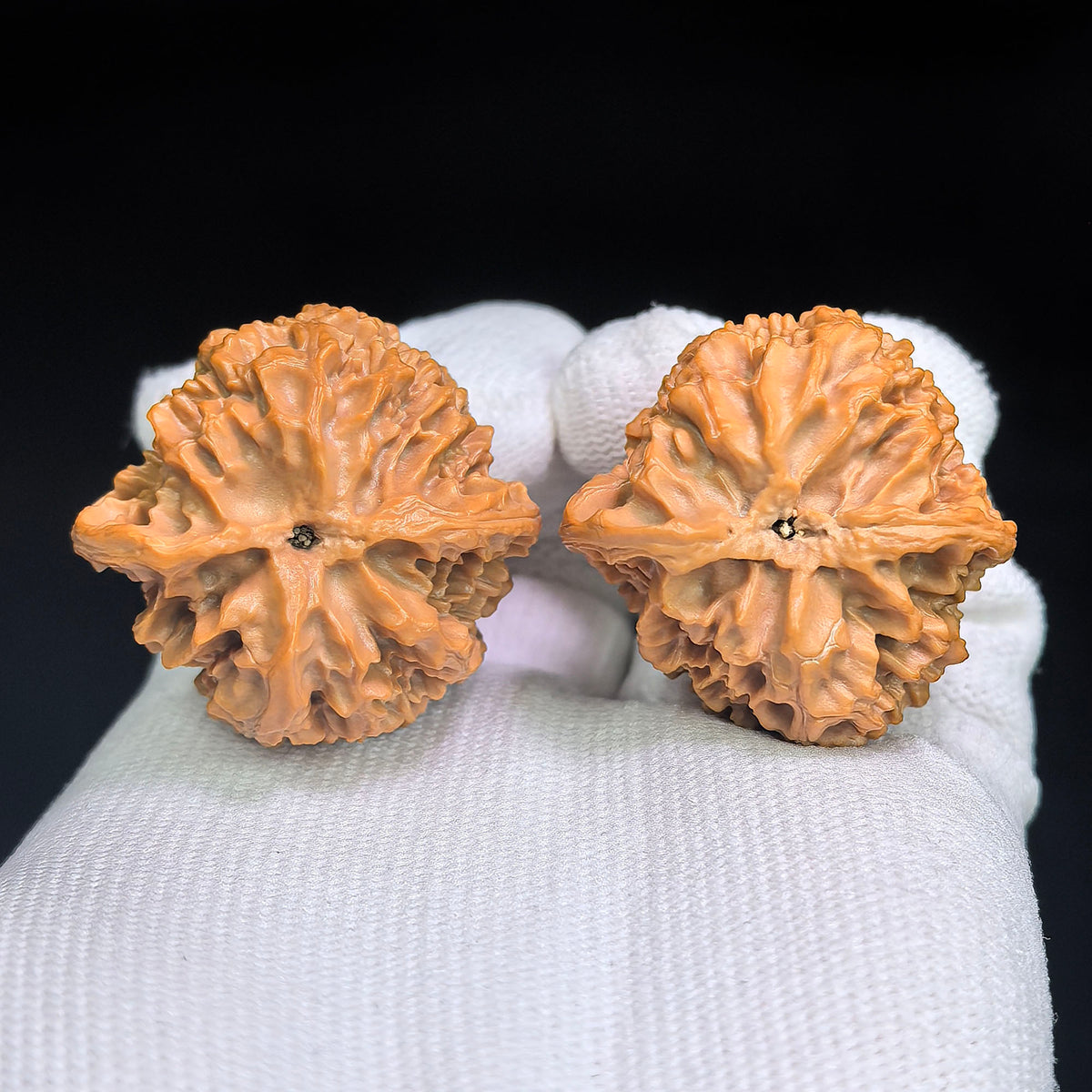 Miniature Butterfly-Form Apple Garden Wenwan Walnut Pair — 34.0mm x 33.0mm | XZHD-C1C5E