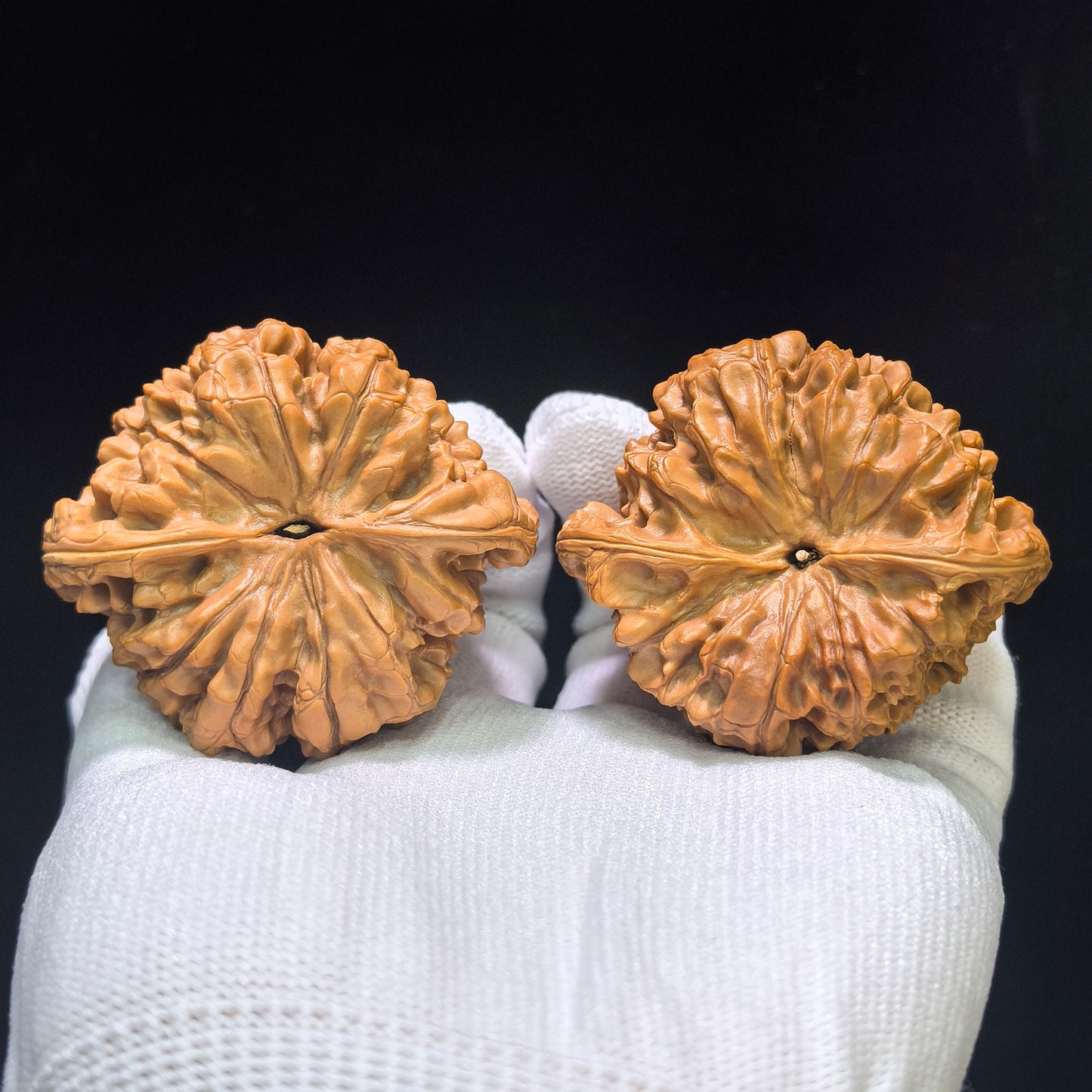 "Kylin Texture Low Profile Concave Base" Qilinwen Aizhuang Aodi Wenwan Walnuts Pair | 52.0mm x 46.0mm | QLW-1551C