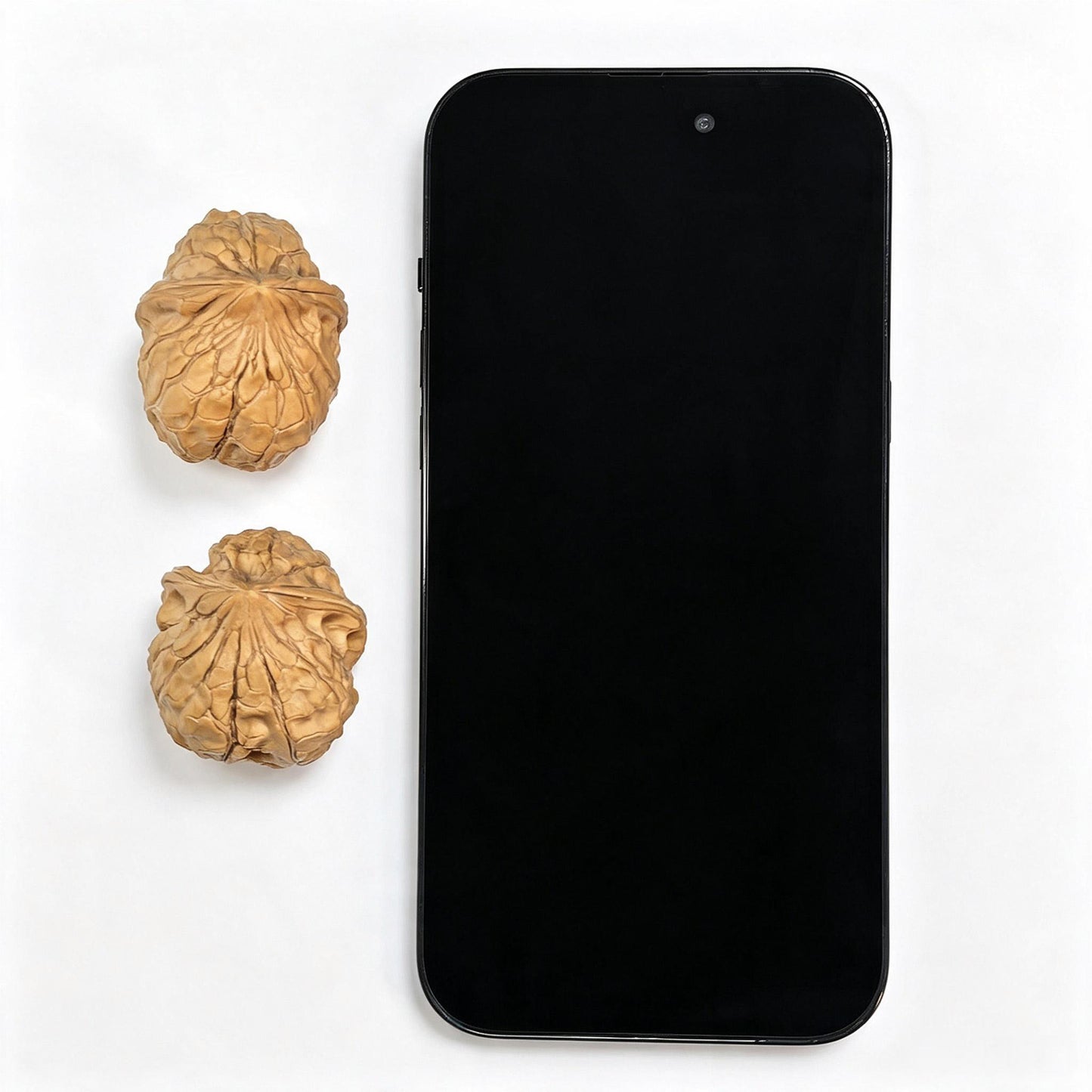 "Tortoise-Shell Half-Wall Turtle-Back" (Gui Jia Wen Ban Bi Gui Bei) Scholar Walnuts Pair | Same-Fruit Biological Twin Pair | 30.0mm x 36.0mm | Collector Grade E | Stock ID: GJWGB-SY1B3
