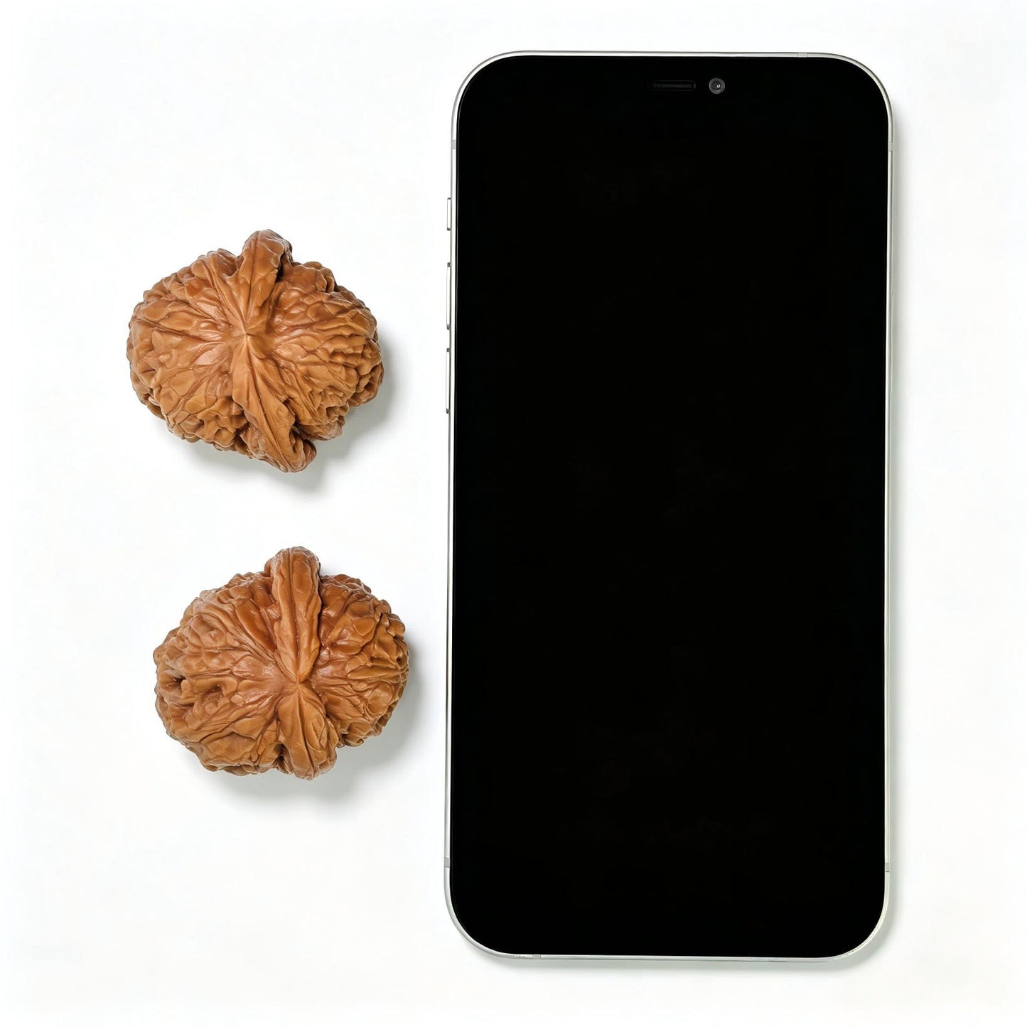 "Pinggu Sycee Turtle-Back Buddha Belly" Pinggu Yuanbao Guibei Fodu Wenwan Walnuts Pair | 38.0mm x 40.0mm | PGYBFD-C238E
