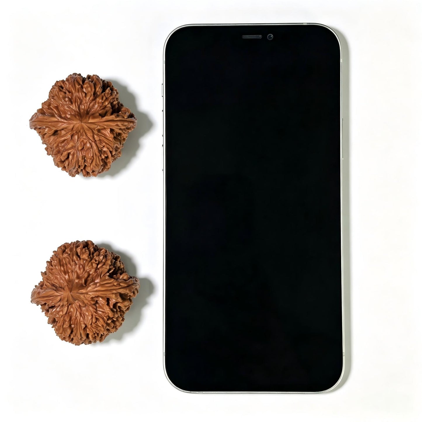 "Concave Base Starry Sky" Aodi Mantianxing Wenwan Walnuts (Pair) | 42.0mm x 41.0mm | Stock ID: ADMTX-1108