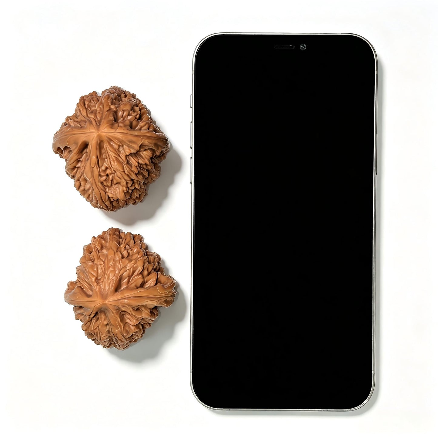 "Jixian Tiger Head King" Jixian Hutouwang JSHTW-SY1F1 Low-Profile Wenwan Walnuts Pair | 43.0mm x 45.0mm | JSHTW-SY1F1