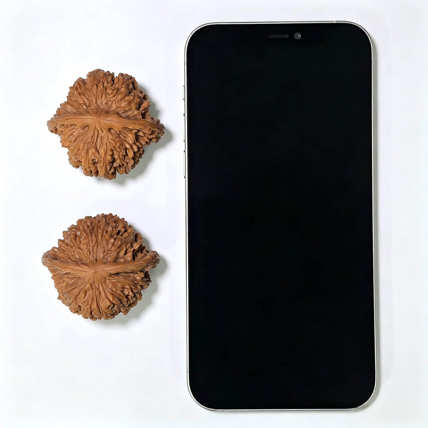 "Starry Sky" Mantianxing Wenwan Walnuts (Pair) | 43.0mm x 40.0mm | Stock ID: MTX-1003