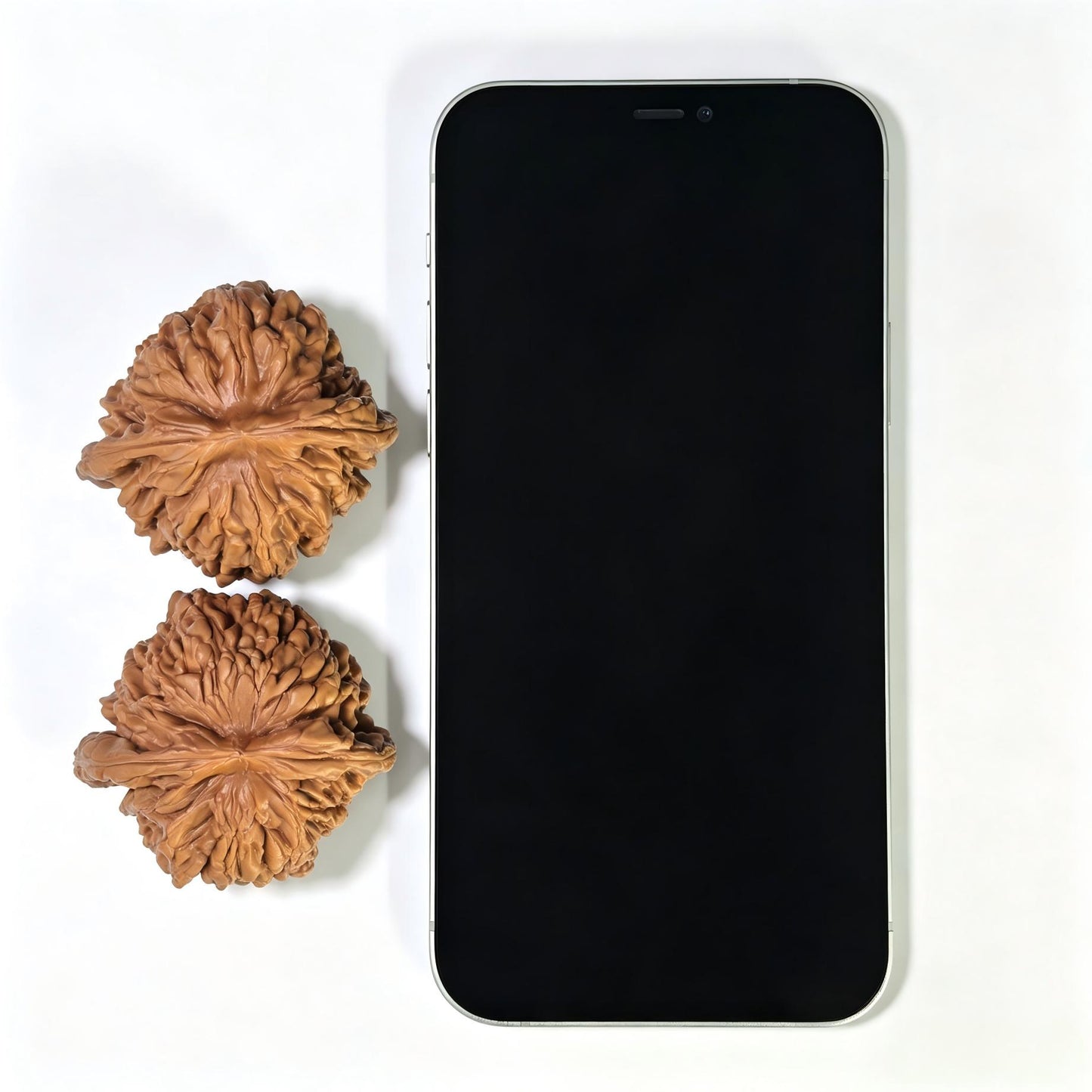 "Huakun Dragon" Hua Kun Long Wenwan Walnuts (Pair) | 48.0mm x 47.0mm | Stock ID: HKL-1505C