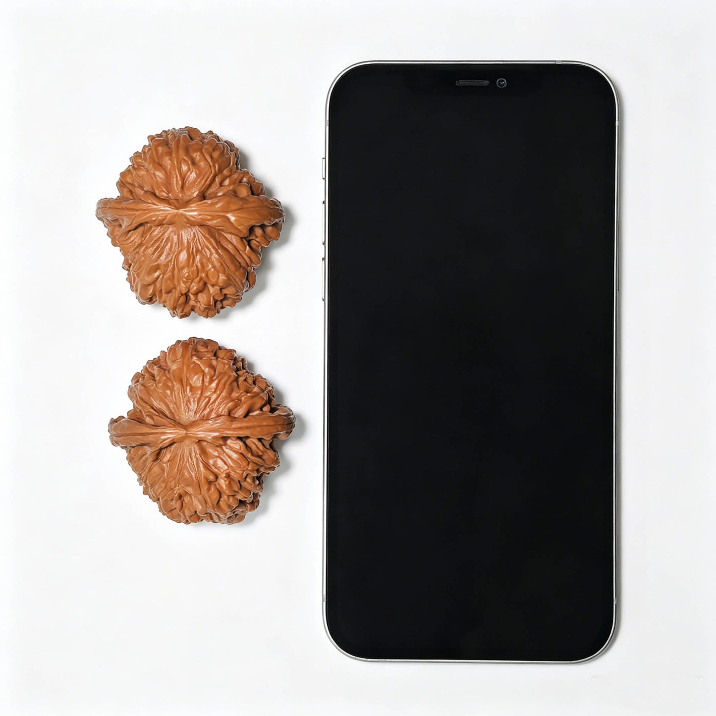 Low-Apex White Lion Head (Men Jian Bai Shi Zi) Scholar Walnuts Pair | Premium Select 45.0mm x 46.0mm | Classic Deep-Belly Format | Stock ID: BSJ-1303C
