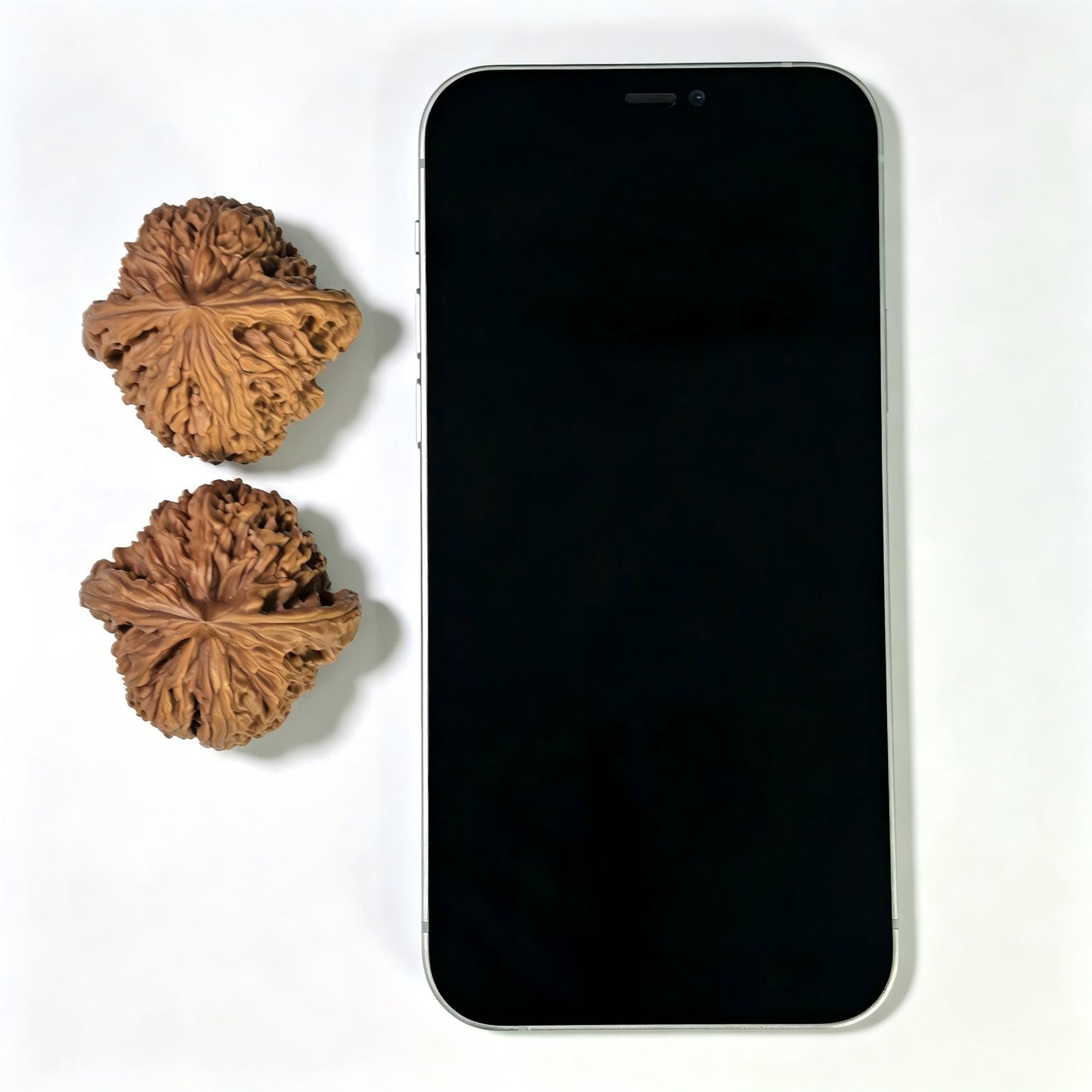 "Tri-Rib Nanjiangshi" Three-Sided Nanjiangshi Wenwan Walnuts (Pair) | 41.0mm x 40.0mm | Stock ID: NJS-1505C