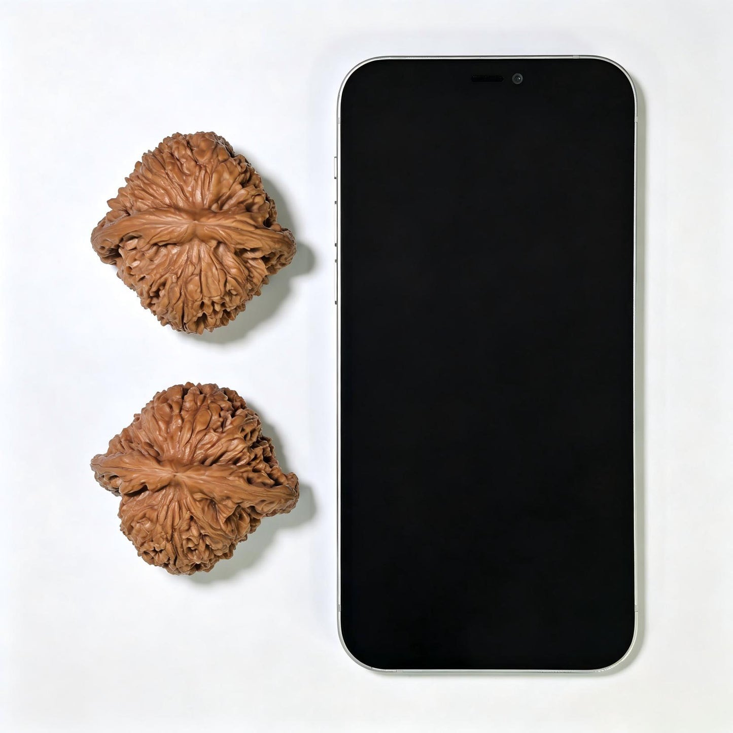 "Concave Base Nanjiangshi" Nanjiangshi Aodi Wenwan Walnuts (Pair) | 49.0mm x 45.0mm | Stock ID: NJS-1551C