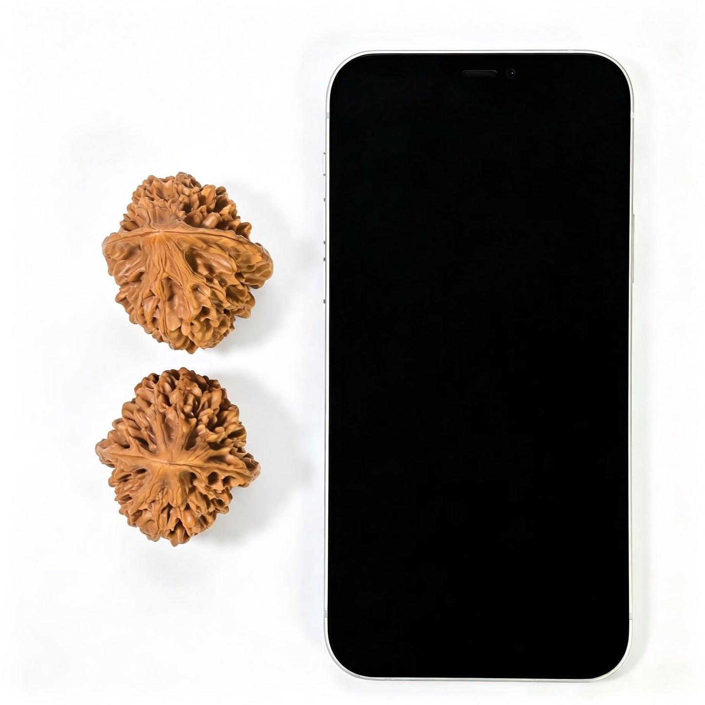 "Fortune Mouse" Zhaocai Shu ZCS-1601 Wenwan Walnuts Pair | 37.0mm x 39.0mm | ZCS-1601