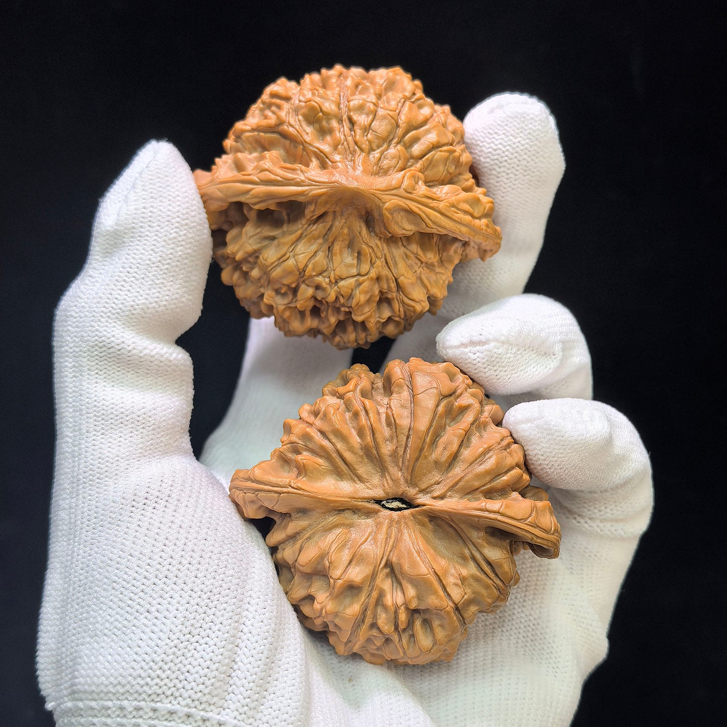"Dragon Tripod Low Profile" Longding Aizhuang Wenwan Walnuts Pair | 55.0mm x 50.0mm | LD-1552C