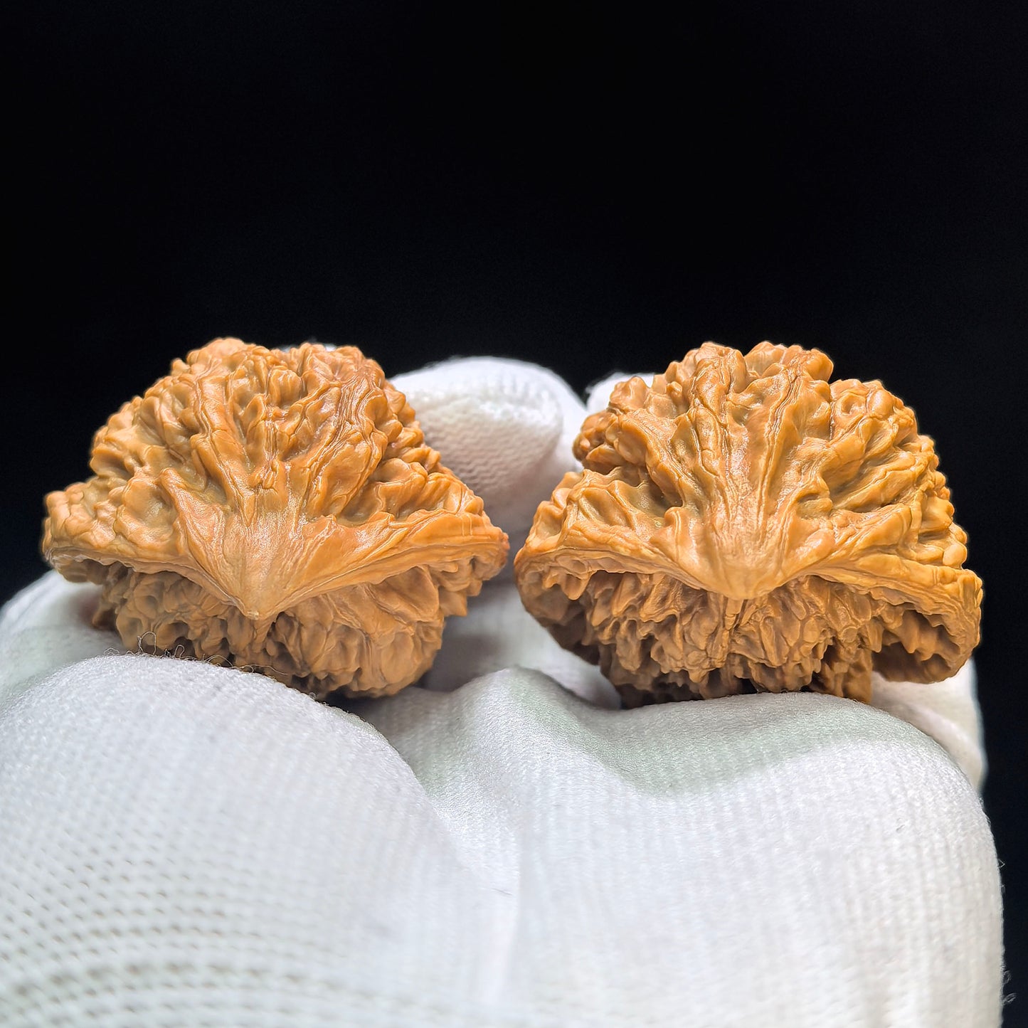"Official Hat Snake Head" Guanmao Shetiao Wenwan Walnuts Pair | 42.0mm x 32.0mm | GMST-01SY