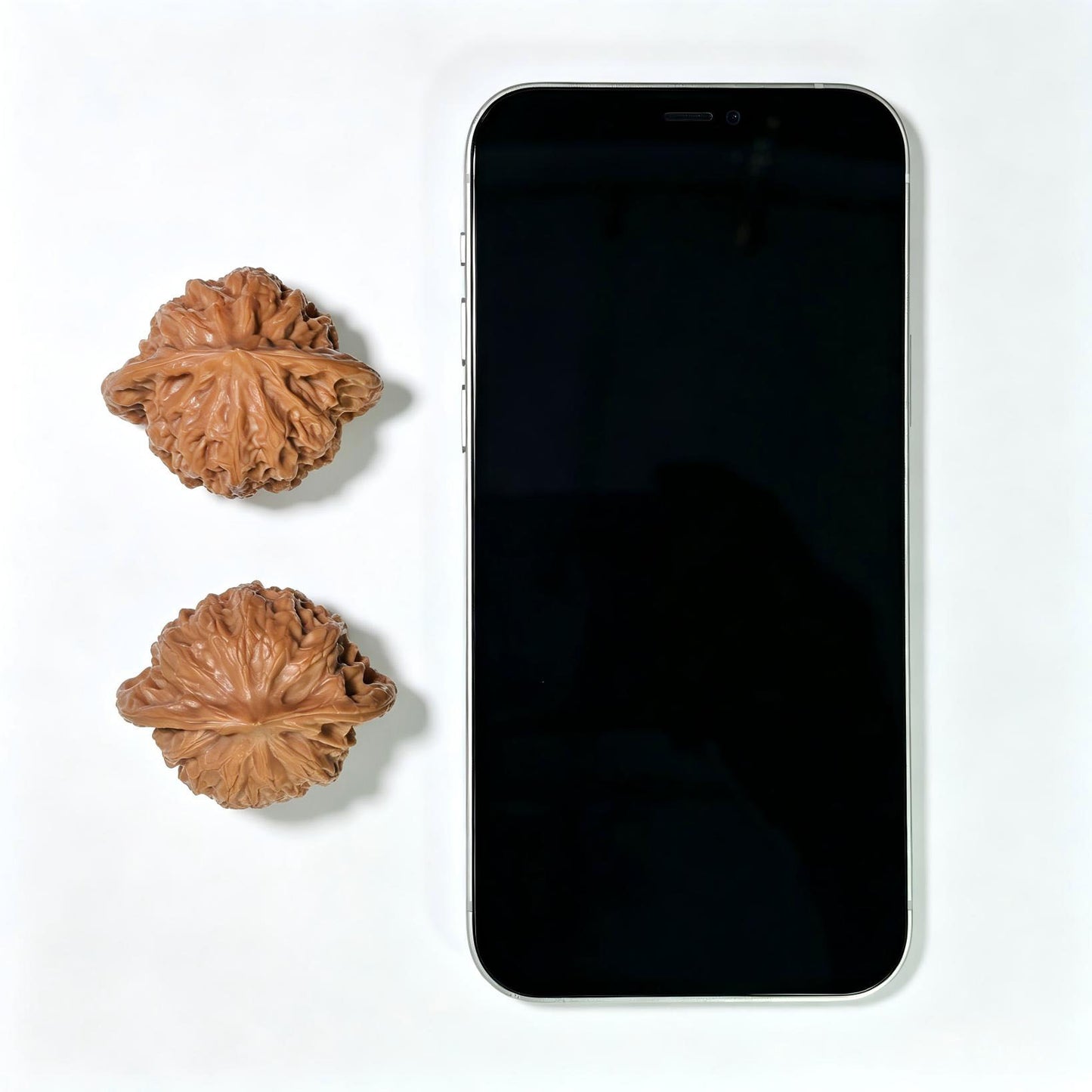 "Shaanxi Official Hat" Shaanxi Guanmao Wenwan Walnuts Pair | 43.0mm x 35.0mm | SXGM-01SY