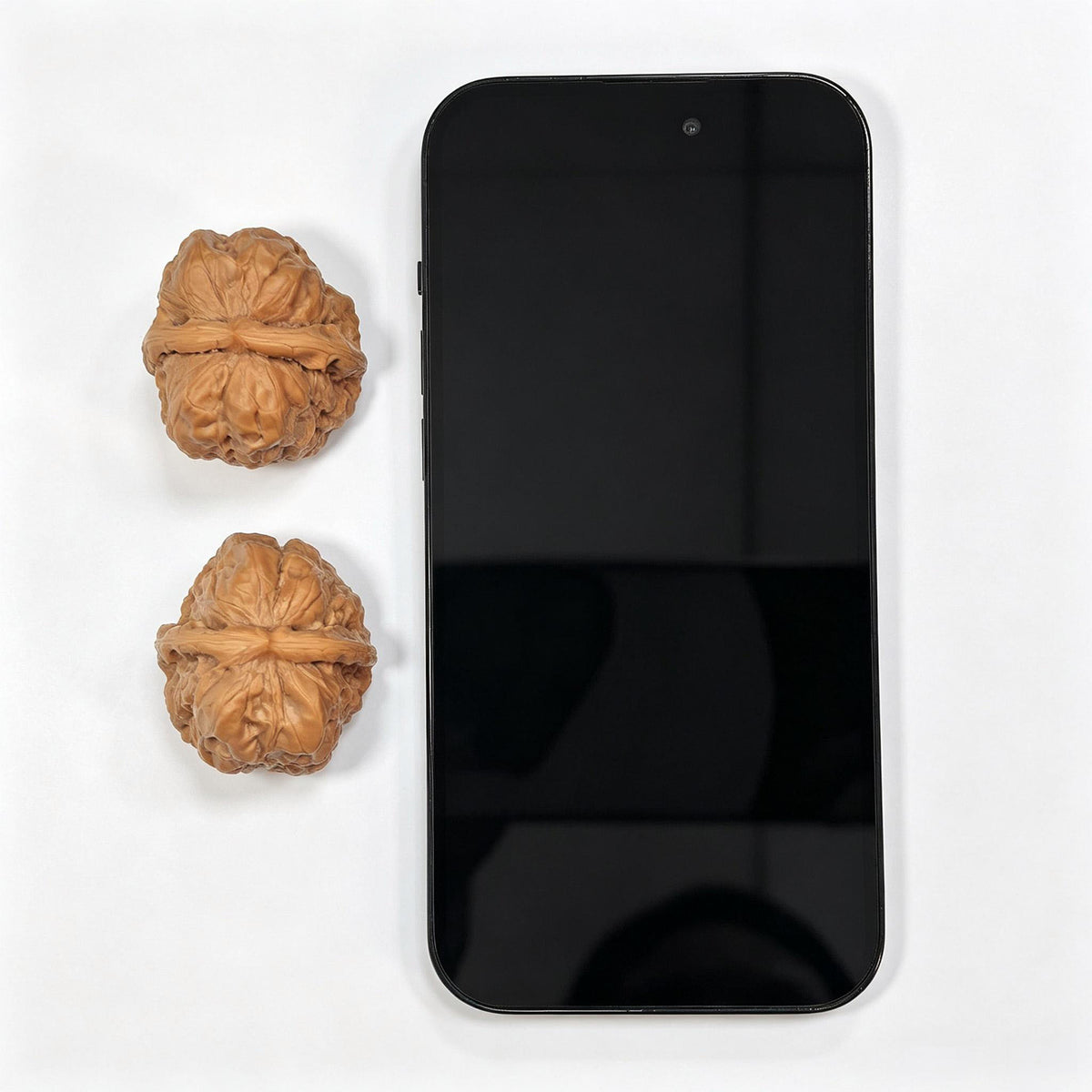 Compact Broad-Shouldered Toad Head Wenwan Walnut Pair | 35.0mm x 37.0mm | HMT-SY1H6