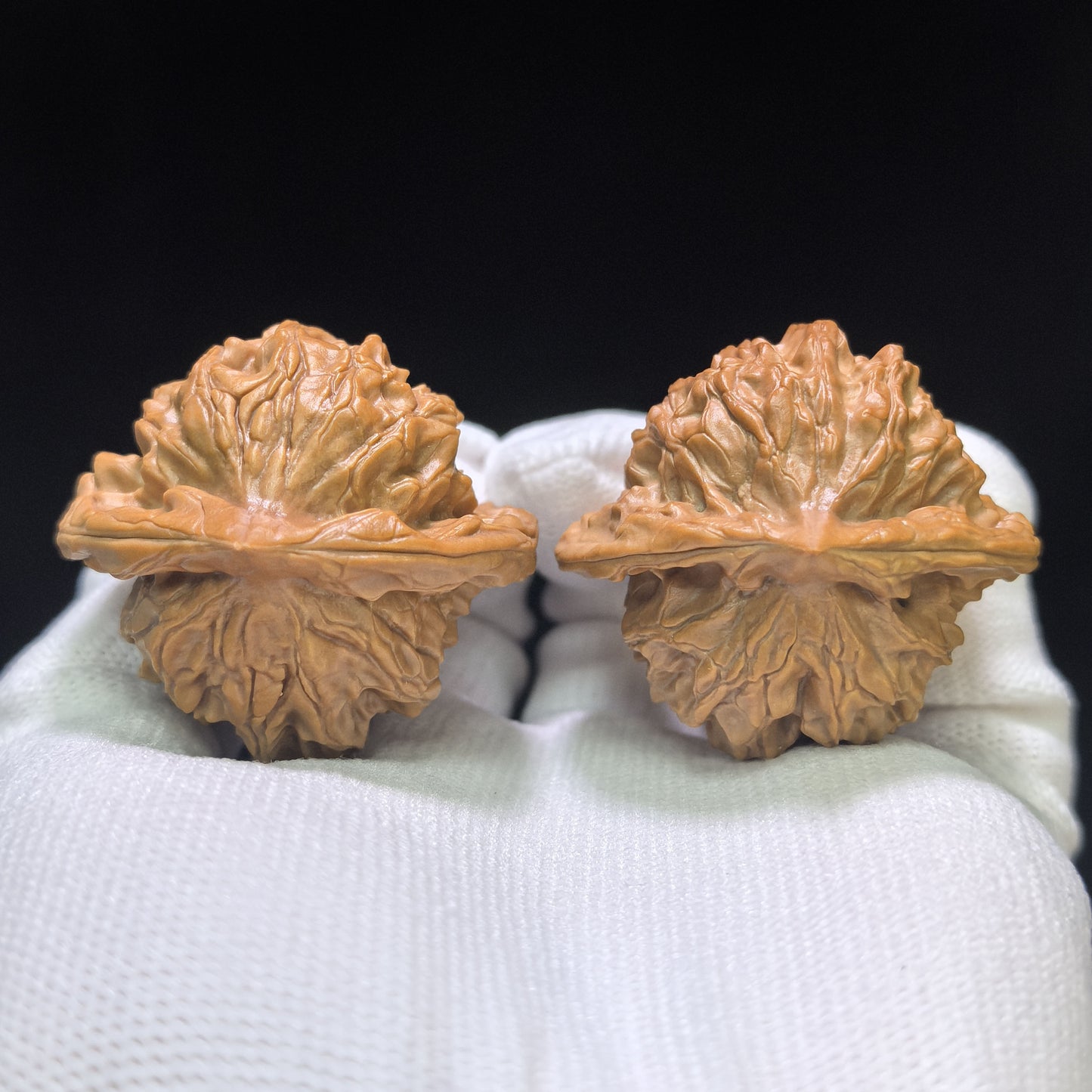 "High Apex Tutu" Gaojian Tutu Wenwan Walnuts Pair | 41.0mm x 39.0mm | TT-1551C