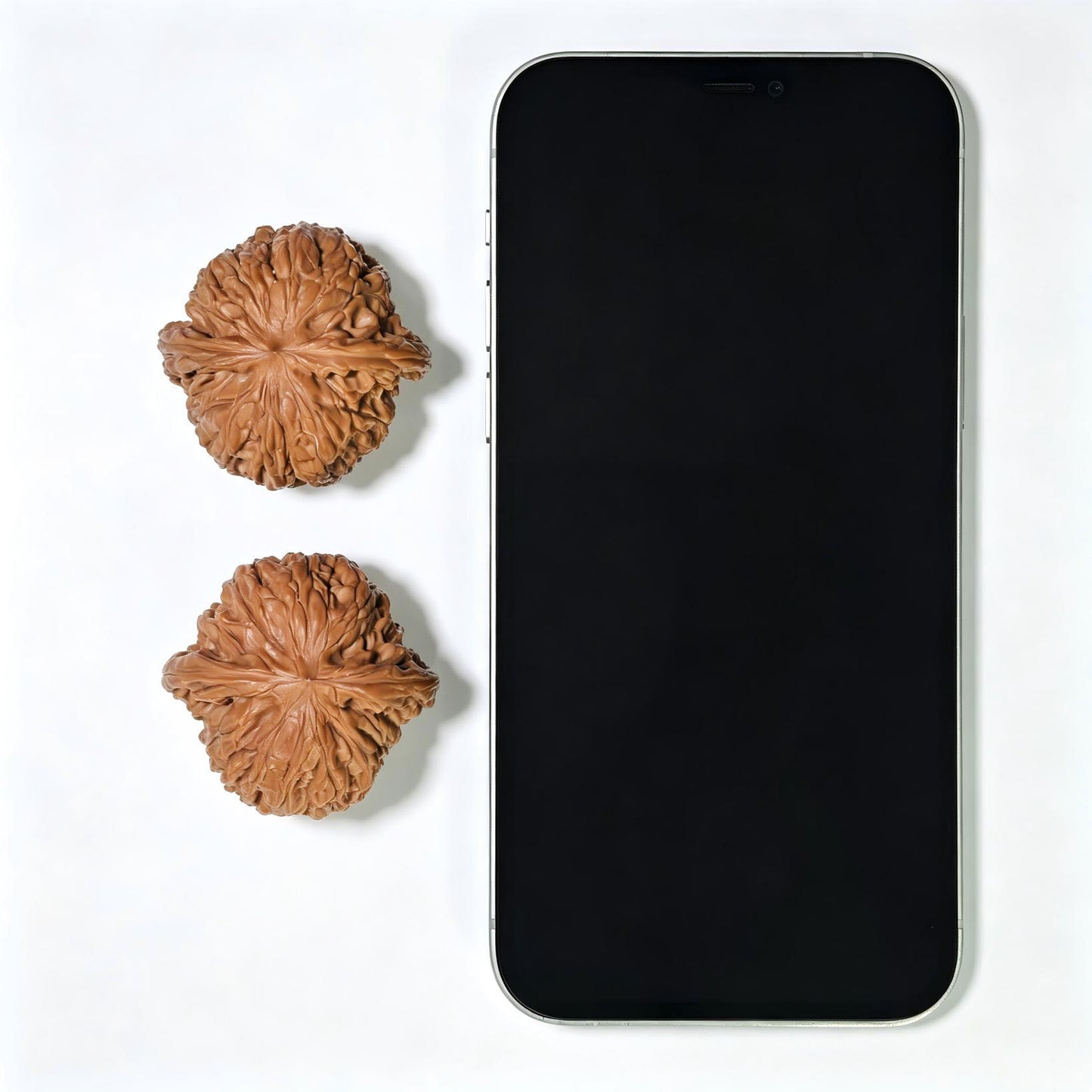 "Millstone" Mopan Wenwan Walnuts Pair | 40.0mm x 40.0mm | MP-01SY