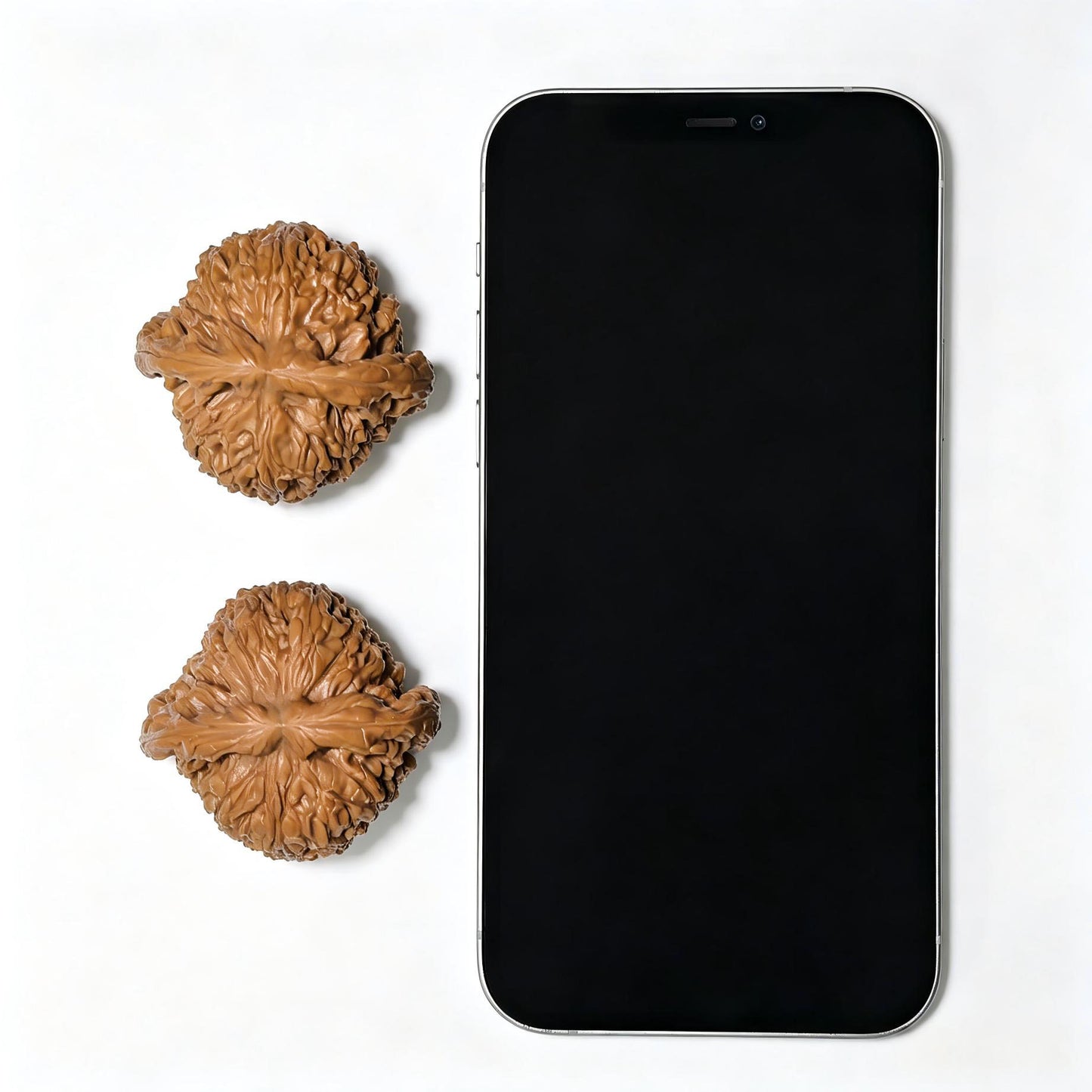 Nanjiangshi Scholar Walnuts "Spherical Heart" Variant | Premium Select 46.0mm x 43.0mm | Stock ID: NJS-1303C