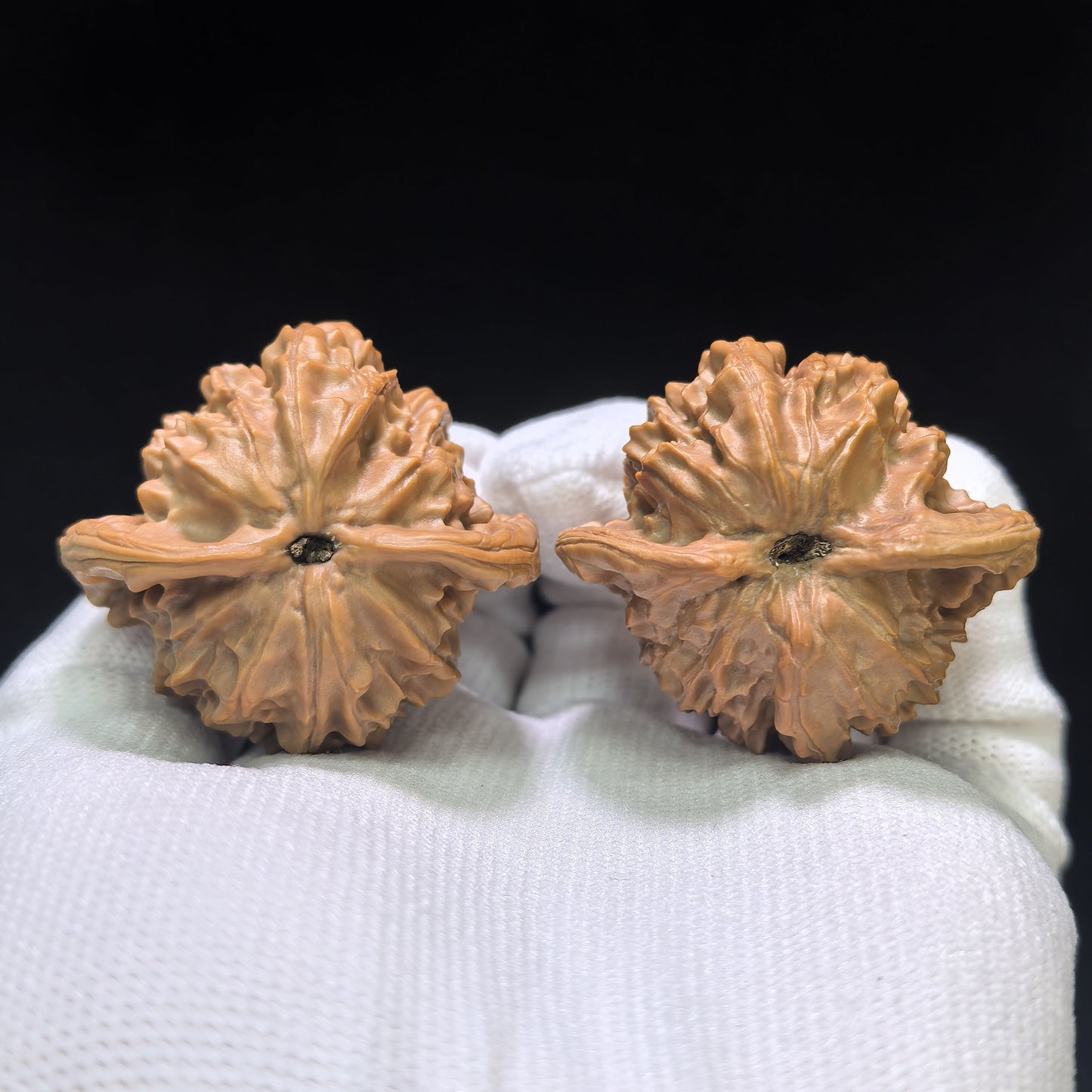 "High Apex Tutu" Gaojian Tutu Wenwan Walnuts Pair | 41.0mm x 39.0mm | TT-1551C