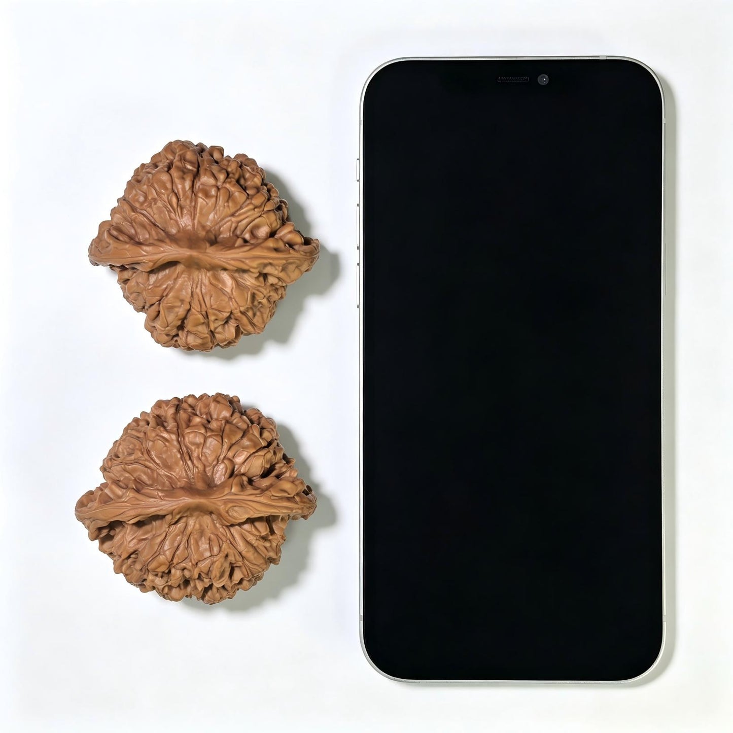 "Dragon Tripod Low Profile" Longding Aizhuang Wenwan Walnuts Pair | 55.0mm x 50.0mm | LD-1552C