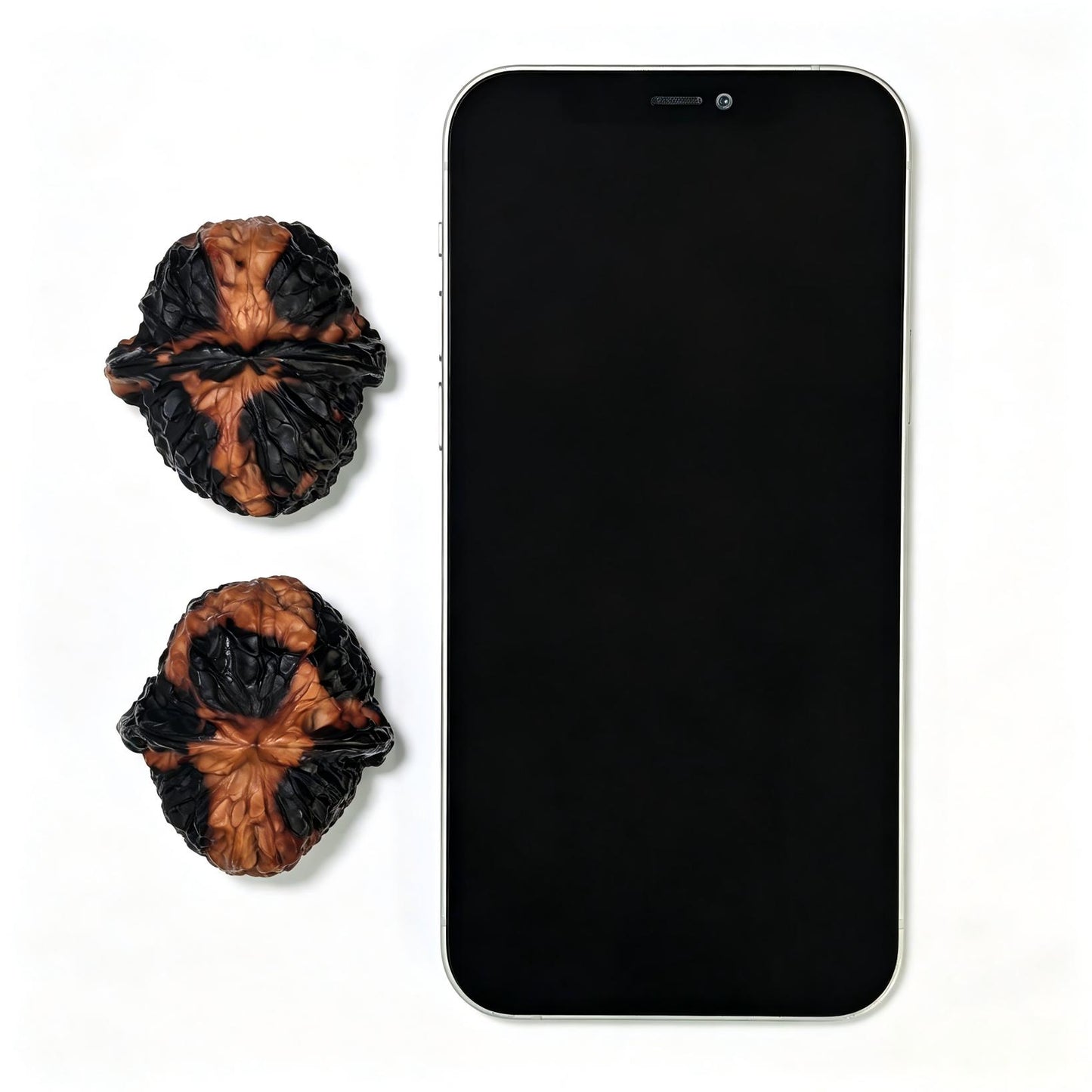 "Earth-Muffled Pumpkin Pier" (Di Men Gua Dun) Scholar Walnuts | Inlaid Rotatable Dragon Head Navels | 41.0mm x 45.0mm | High-Contrast Dual-Tone Masterpiece | Stock ID: DMLGD-101SY