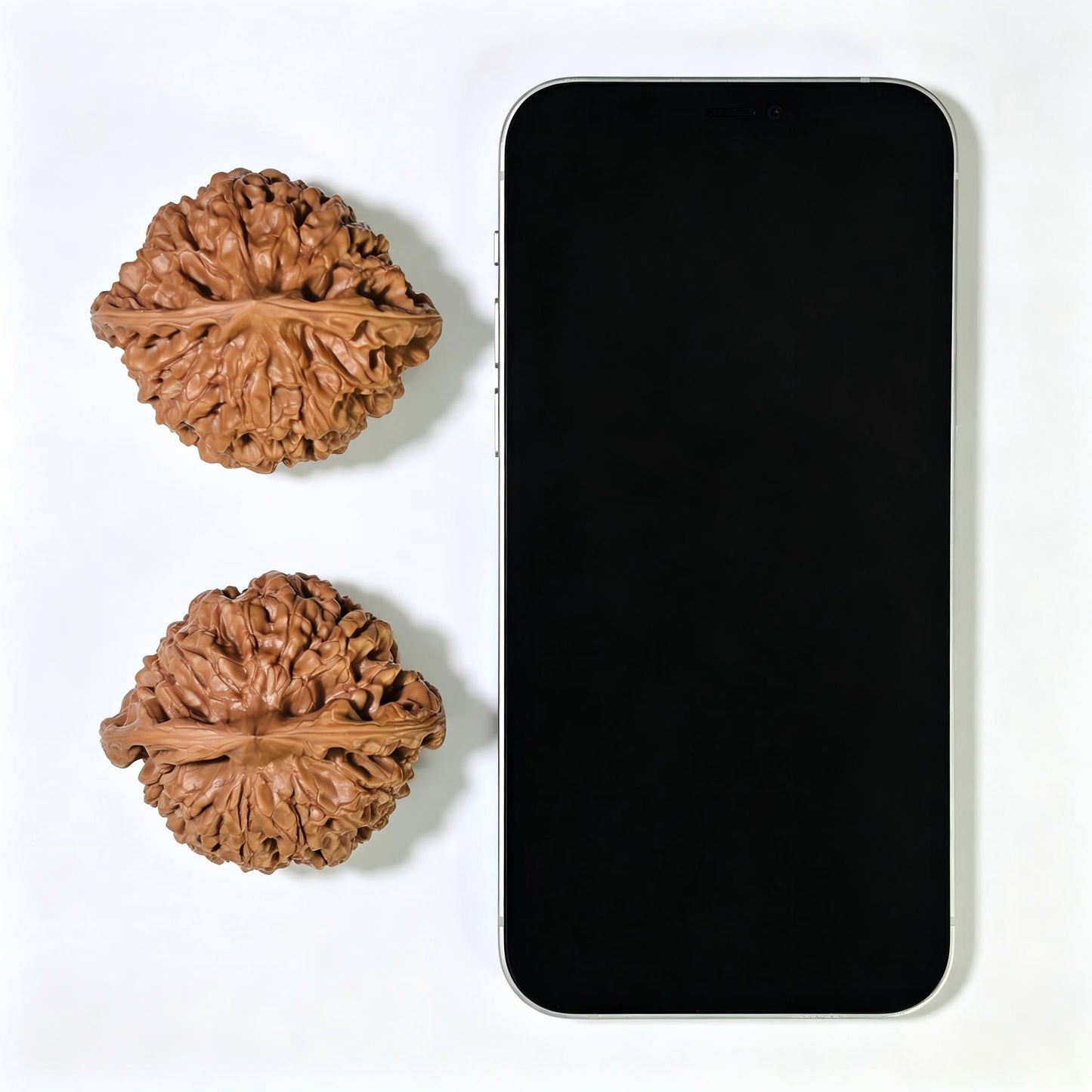 "Kylin Texture Low Profile Concave Base" Qilinwen Aizhuang Aodi Wenwan Walnuts Pair | 52.0mm x 46.0mm | QLW-1551C