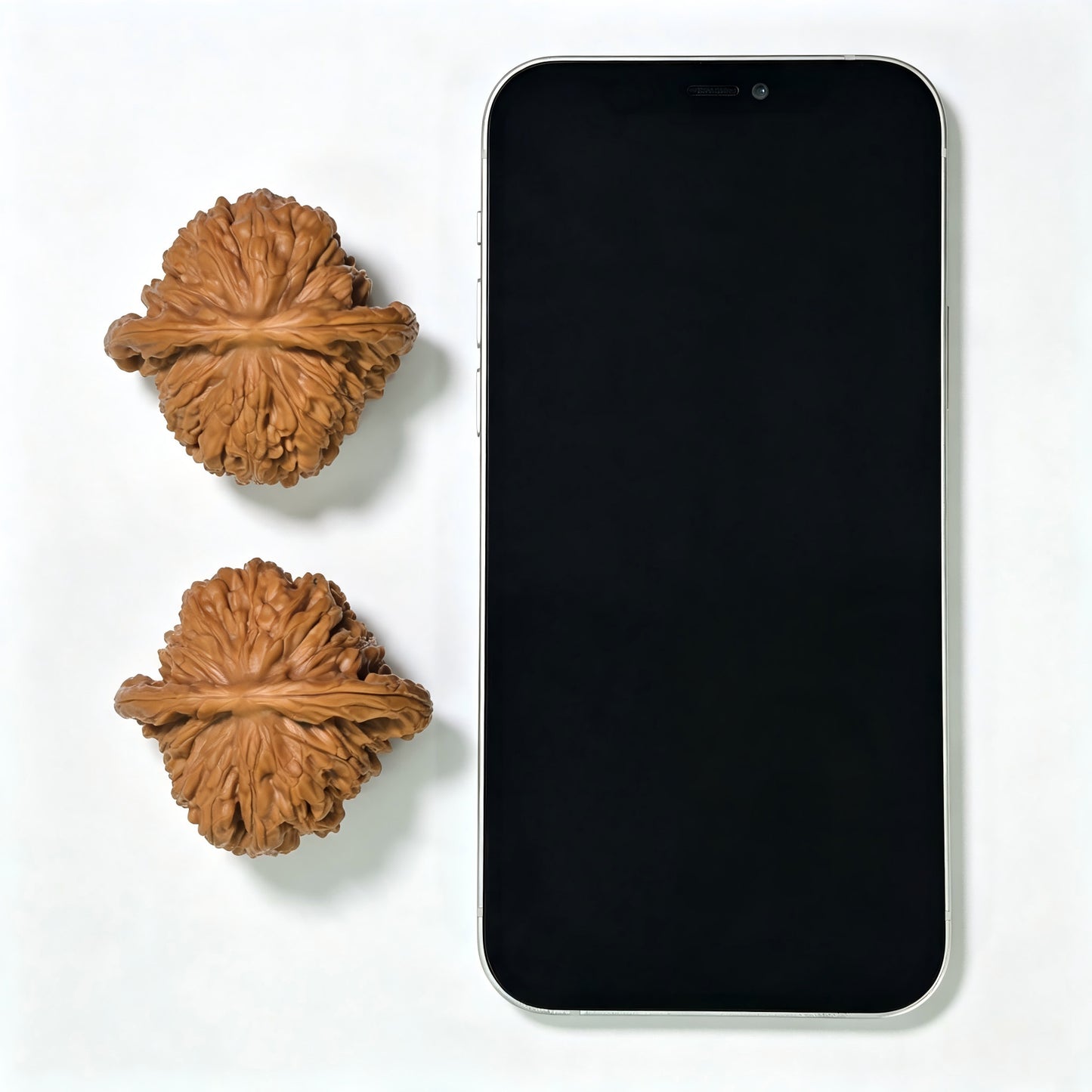"Four-Tower Lionhead" Sizuelou Lionhead SZL-SY1C5 Low-Profile Wenwan Walnuts Pair | 47.0mm x 44.0mm | SZL-SY1C5