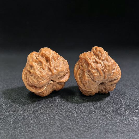 "Toad Head" Hamatou HMT-SY1G5 Classic Wenwan Walnuts Pair | 37.0mm x 37.0mm | HMT-SY1G5