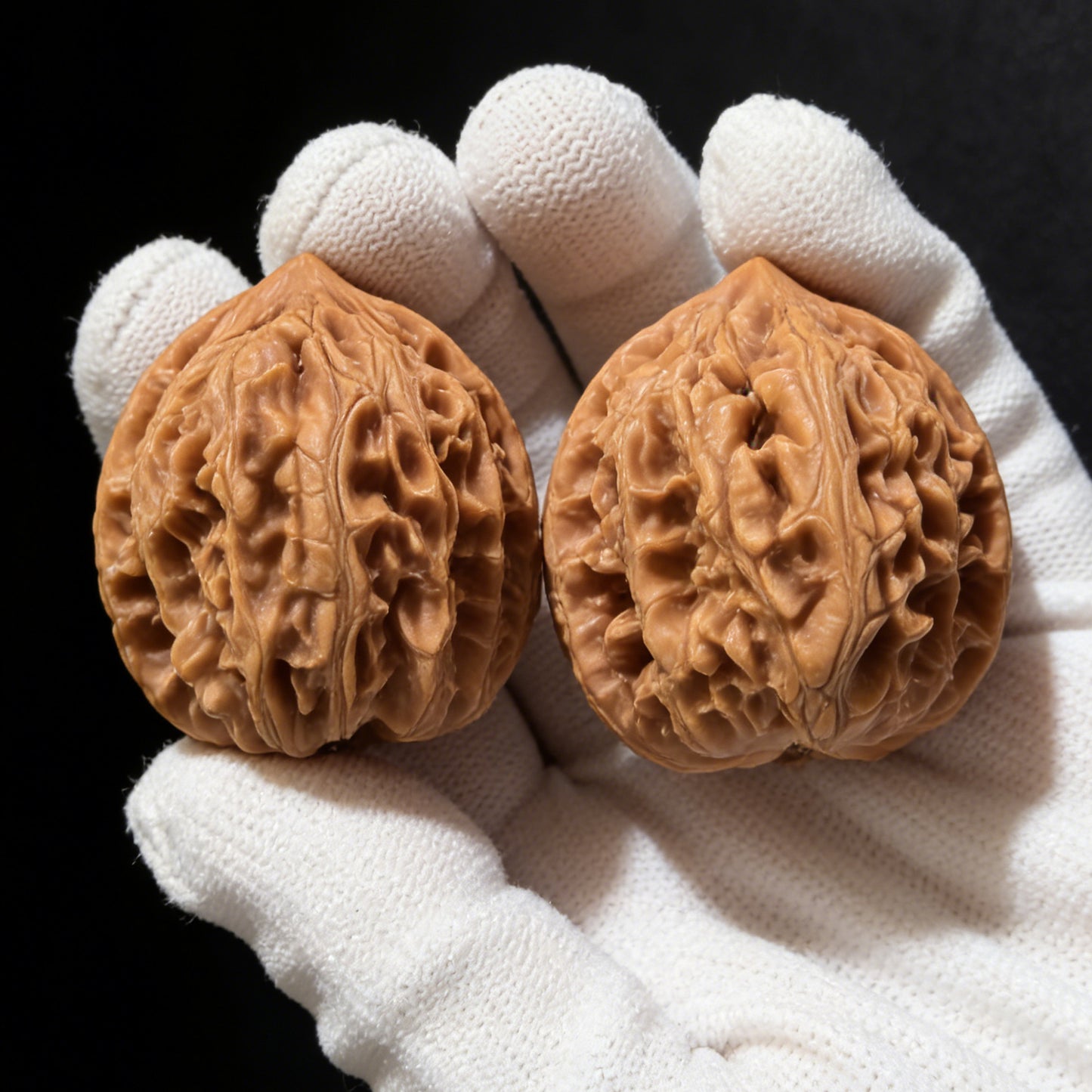 The "Jade Dragon" (Yulong) Pair | 38.0mm | WH-01