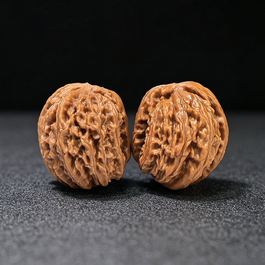 The Majestic "White Lion Head Half-Wall" Baishizi Banbi High-Pile Masterpiece | 33.0mm x 41.0mm | BSJBB-403E