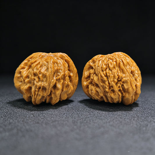 "Huakun Dragon" Hua Kun Long Wenwan Walnüsse (Paar) | 48.0mm x 47.0mm | Artikelnummer: HKL-1505C
