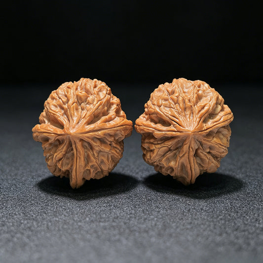 The Royal Three-Ridge "Ding" Wangxi Masterpiece | 37.0mm x 41.0mm | YXSZTSN-1401E