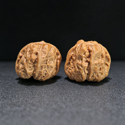 "Toad Head Crippled Foot" Hama Tou Tiancan Jiao W-1407 Low-Profile Wenwan Walnuts Pair | 38.0mm x 41.0mm | W-1407
