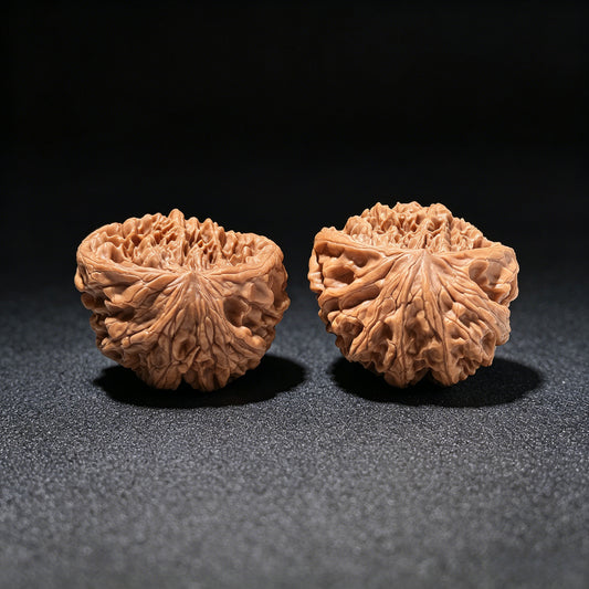 The "Big Ridge" Snake-Head Treasure Basin (Ju Bao Pen) | 40.0mm x 33.0mm | CJST-1201E