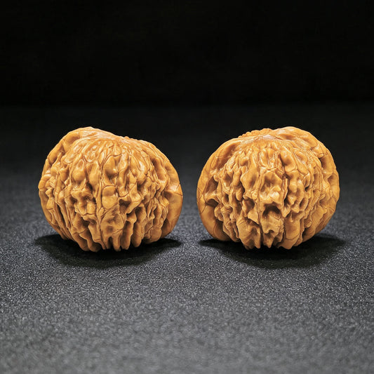 "Butterfly Huakun Dragon" Hudie Huakunlong Low-Profile Wenwan Walnuts Pair | 48.0mm x 46.0mm | HKL-1506C