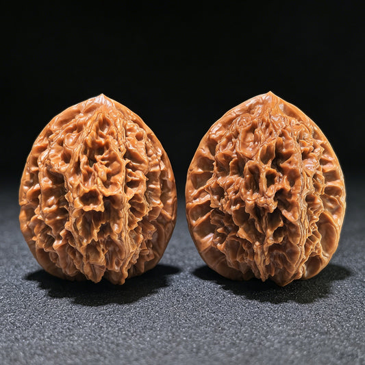 [Boutique Grade] The "Large Spike" (Da Ci) Matched Pair | 42.0mm x 45.0mm | DC-1201C