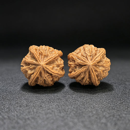 Kaiserliches Jadesiegel X-Men Yuxi Sileng X-Zhanjing Vierschenkliche Wenwan-Walnusspaarung | 36,0 mm x 38,0 mm | YSFN-C2210E