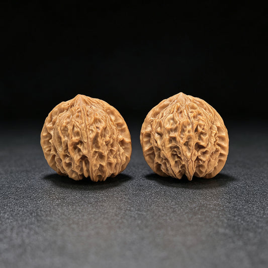 "Timber Wolf" (Xiao Ye Lang) Scholar Walnuts Pair | 36.0mm x 34.0mm | Compact Low-Profile Stance | Stock ID: YL-SY1B2