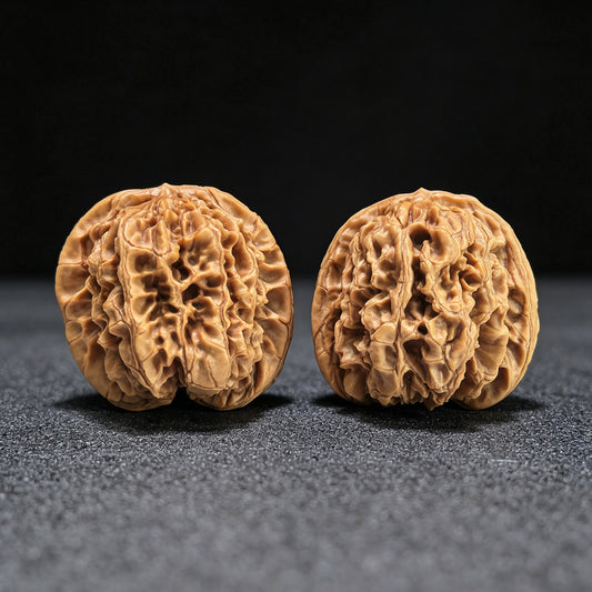 Bai Shou Lion Head (Hundred Longevity) Scholar Walnuts Pair | 45.0mm x 43.0mm | Stock ID: BSSZT-1401
