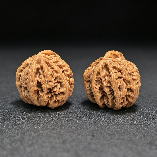 „Großer, dicker Gratgeier“ Dacujin Zuoshandiao Wenwan Walnusspaar | 43,0 mm x 43,0 mm | CJZSD-C232E