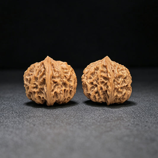 "Star Lotus Lionhead" (Xing Lian Shi Tou) Scholar Walnuts Pair | 37.0mm x 35.0mm | Low-Profile Sacred Radiant Base | Collector Grade Masterpiece | Stock ID: WM-SY1B6