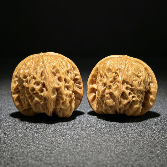 The "Bodhidharma" (Da Mo) Colossal Ergonomic Giant | 45.0mm x 42.0mm | DM-902