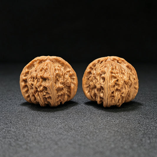 "Spherical White Lion" Qiu Xing Baishizi QXBSJ-1501C Low-Profile Wenwan Walnuts Pair | 44.0mm x 45.0mm | QXBSJ-1501C