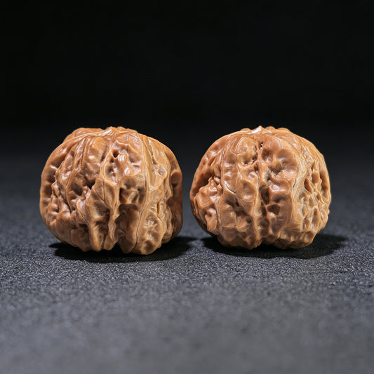 The "Toad Head" (Hamatou) Matched Pair | 41.0mm x 38.0mm | HMT-1201C
