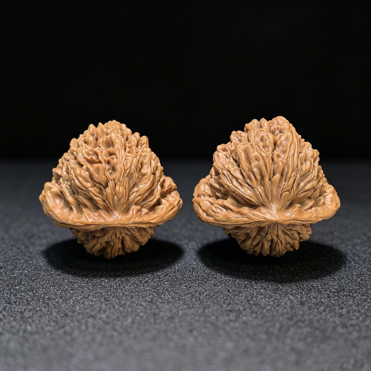 The Majestic "Sizaolou Turtle Silhouette" Sizaolou Wugui Lion Head Masterpiece | 42.0mm x 40.0mm | SZLWG-401E