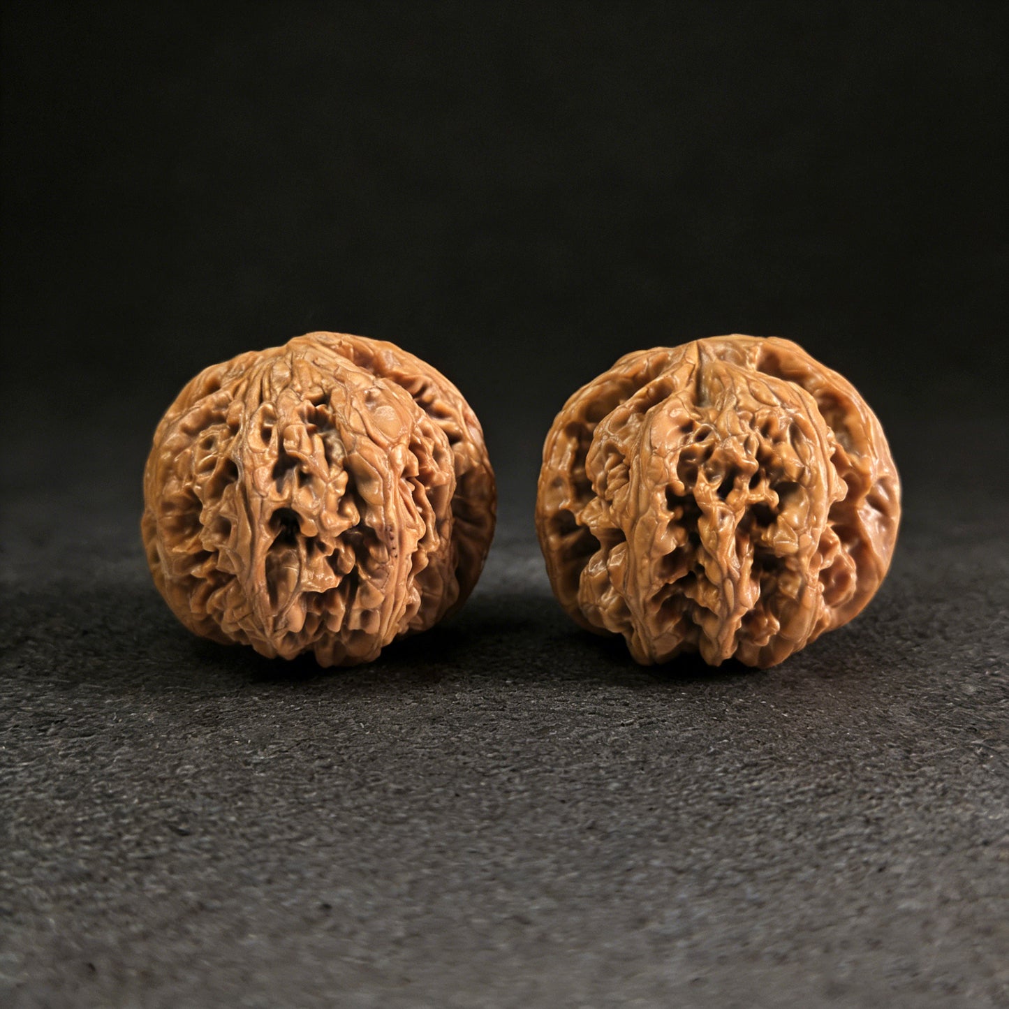 The "Tendon Vein" (Cujin) Pair | 42.0mm | CJ-01