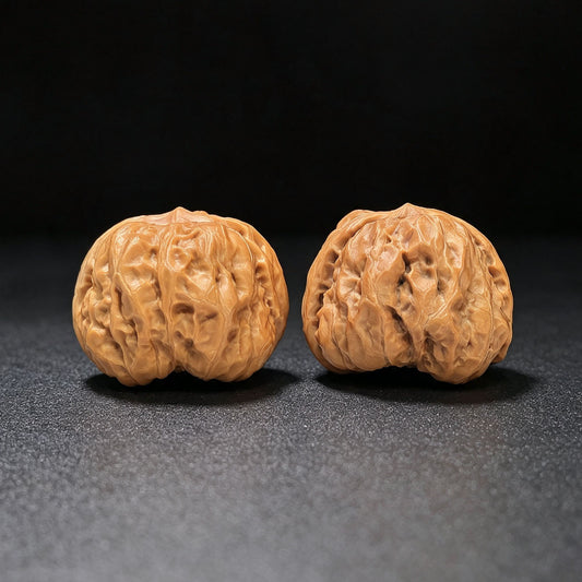 "Toad Head" Hamatou Classic Heritage Low-Profile Wenwan Walnuts Pair | 38.0mm x 38.0mm | HMT-1501C