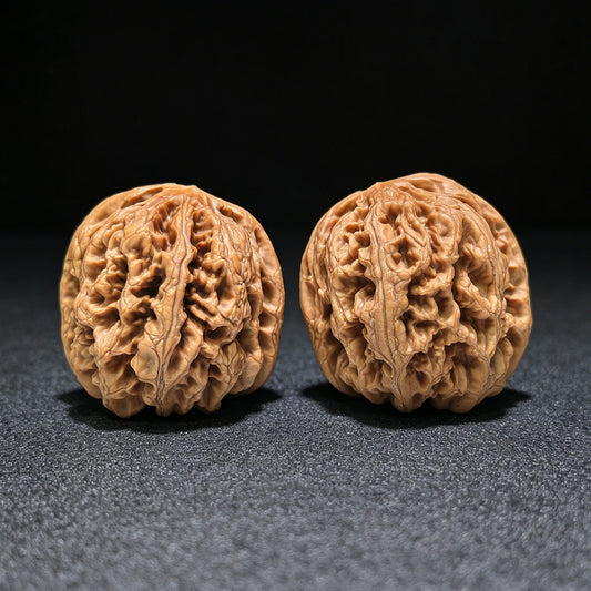 The "Bold-Ribbed Lion Head" (Cu Jin) Heritage Deep-Belly Pair | 42.0mm x 45.0mm | CJ-1401