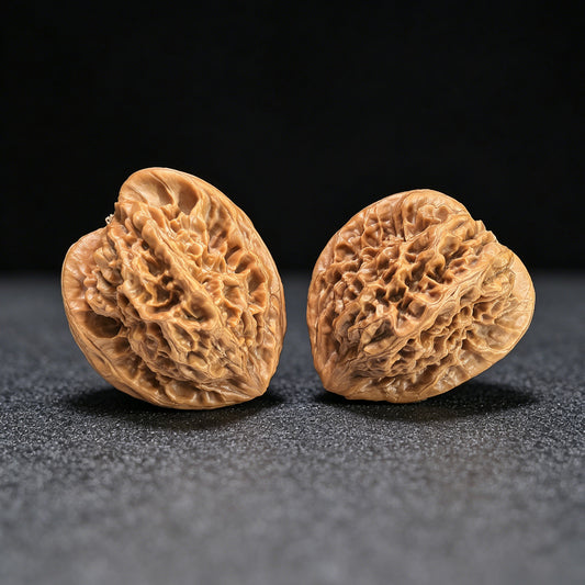 The "Gecko Arhat Head" Natural Mutation Base Pair | 42.0mm x 41.0mm | BHLHT-601